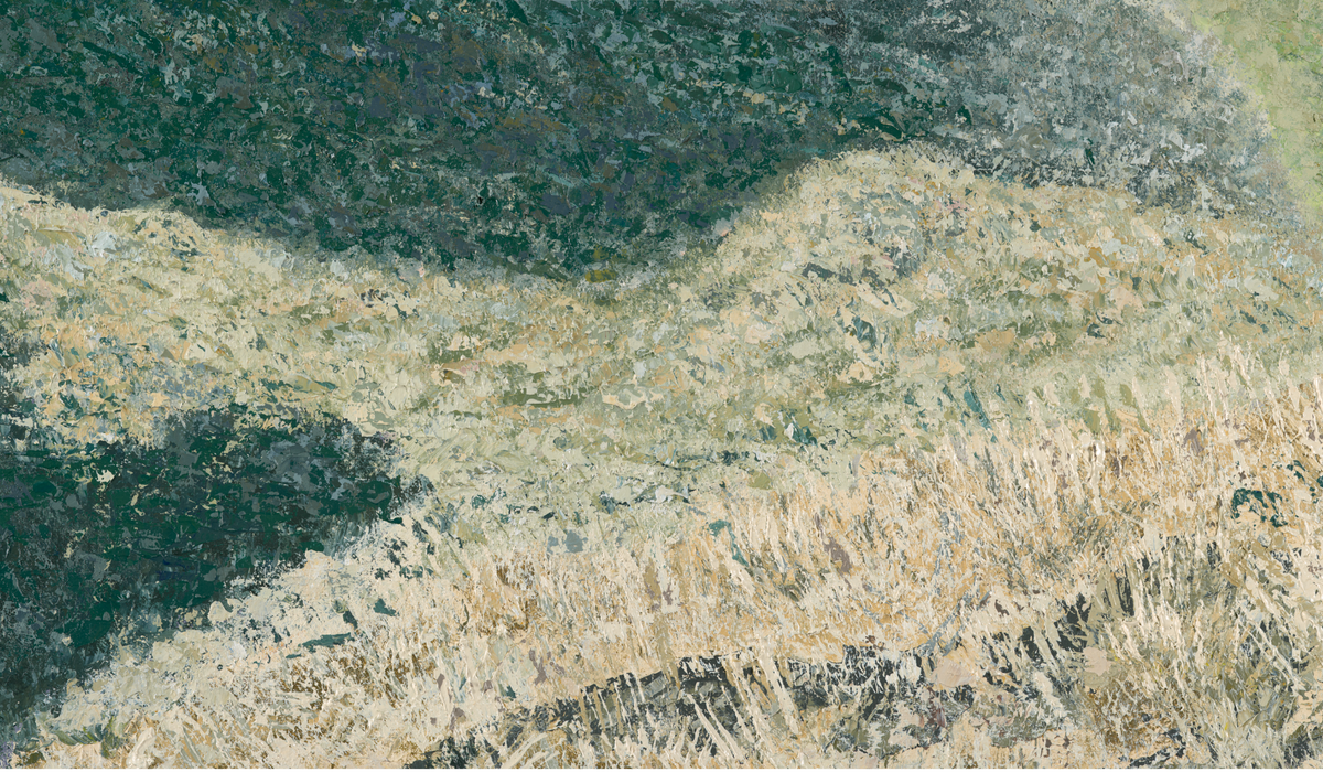 Ridge In Light
